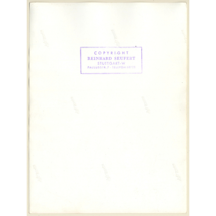 Pretty Nude Pin-Up In Transparent Negligée *1 (Vintage Photo: Seufert ~1950s/1960s)