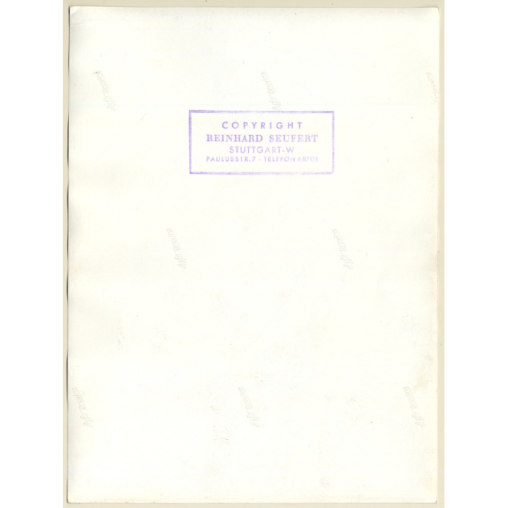 Pretty Nude Pin-Up In Transparent Negligée *2 (Vintage Photo: Seufert ~1950s/1960s)