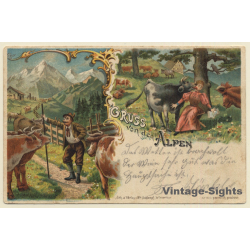 Gruss Von Den Alpen / Cow Licking Woman - Mountains (Vintage PC Litho 1901)