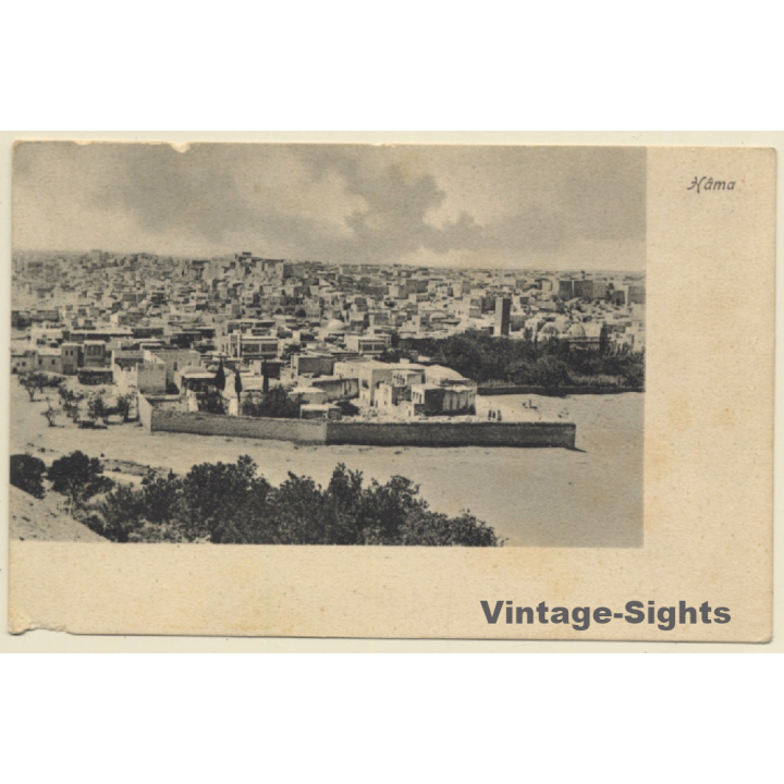 Hama / Syria: View Over Town  - Panorama (Vintage PC 1900s)