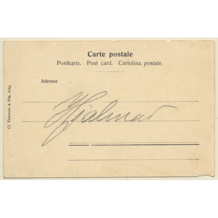 Hama / Syria: View Over Town  - Panorama (Vintage PC 1900s)