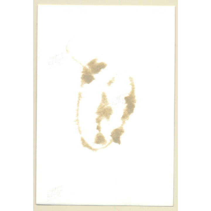 Pretty Topless Maid In Bondage *2 / Ball Gag - BDSM (2nd Gen. Photo B/W ~1960s)