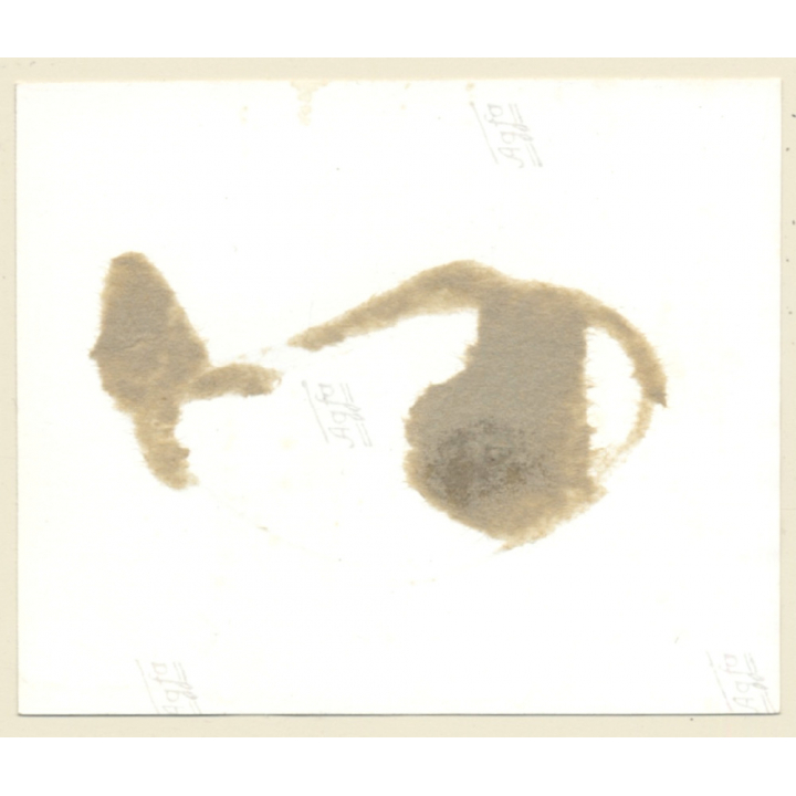 Semi Nude Maid Tied On Floor / Bondage - BDSM (2nd Gen. Photo B/W ~1960s)