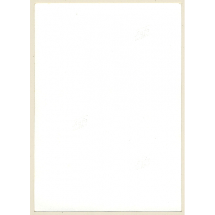 Rear View: Woman With Pulled Down Skirt Bends Over / Cheeky Panties (Vintage Photo ~1950s/1960s)