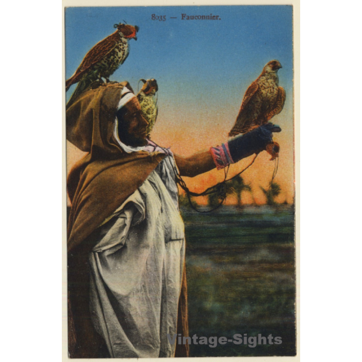 Fauconnier / Falconer & Falcons - Falkner (Vintage PC)