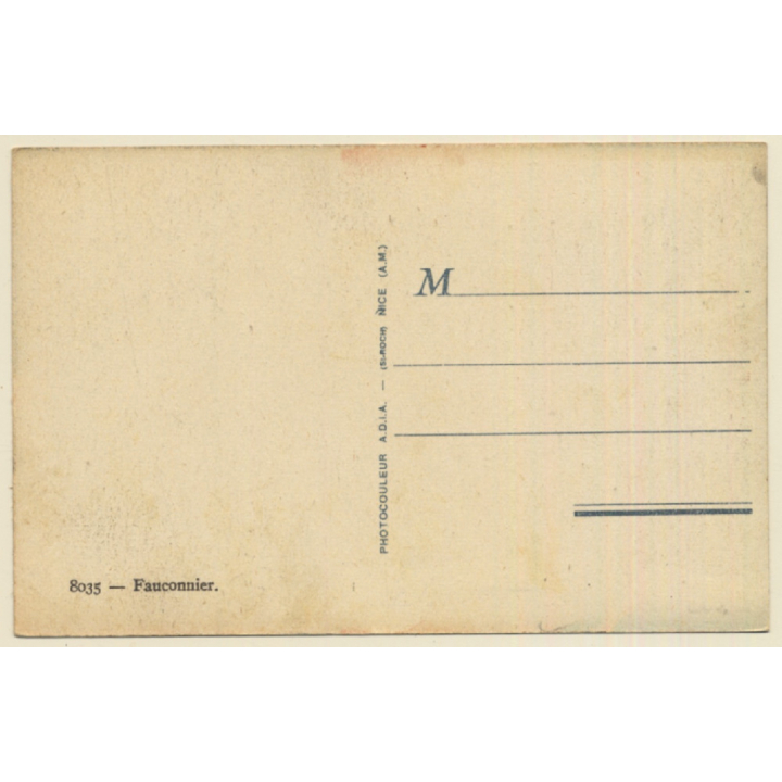 Fauconnier / Falconer & Falcons - Falkner (Vintage PC)