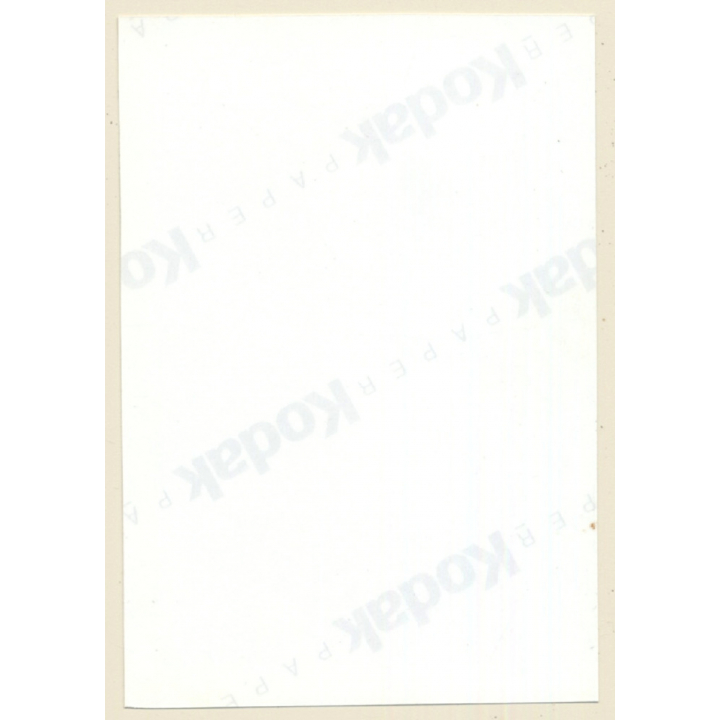 Natural Semi Nude Curlyhead In Transparent Lingerie*1 (Vintage Photo GDR ~1980s)