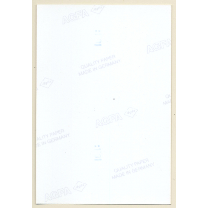 Natural Semi Nude Curlyhead In Transparent Lingerie*3 (Vintage Photo GDR ~1980s)