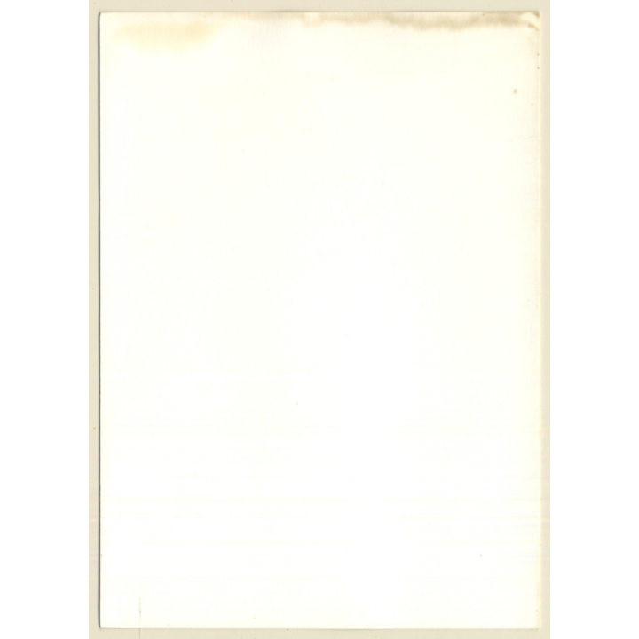 2 Darkhaired Nudes Posing Together / Hairy Armpits (Vintage Photo GDR ~1980s)