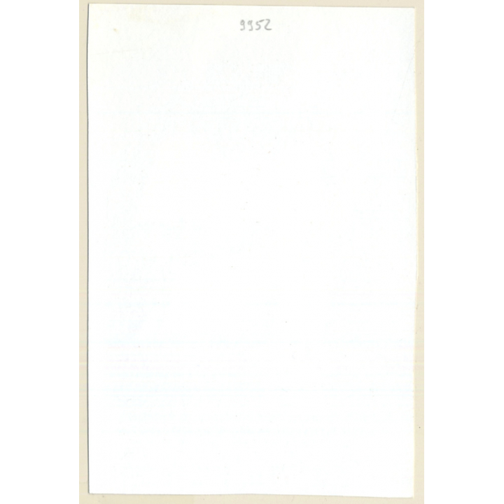 Longhaired Semi Nude Leaning Against Birch *1 (Vintage Photo GDR ~1980s)