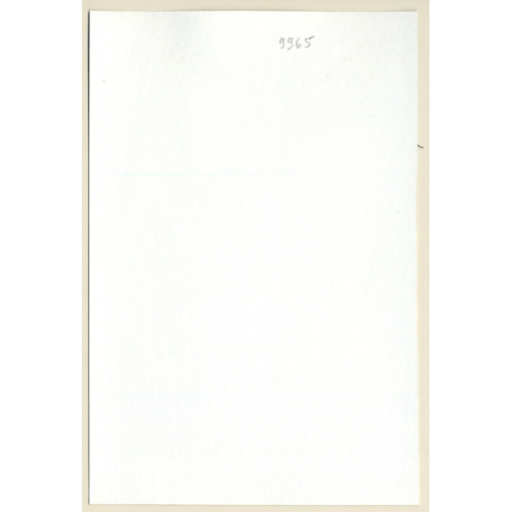 Longhaired Semi Nude Leaning Against Birch *3 (Vintage Photo GDR ~1980s)