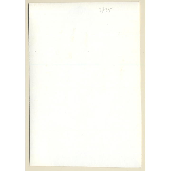 Natural Brunette Nude Curlyhead Standing / Boobs (Vintage Photo GDR ~1980s)