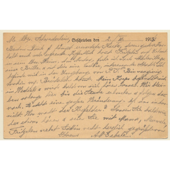 S.B. Pferde Lazarett No.134 / Feldpostkarte (Vintage PC 1916)