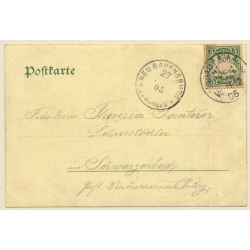 Lindau Im Bodensee / Germany: Total View (Vintage PC 1905)