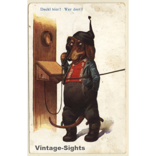Dackel Am Telefon / Dachshund On Telephone - Teckel (Vintage PC 1917)