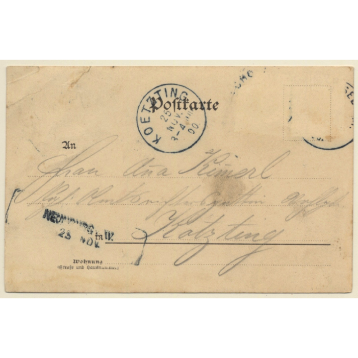 Schönsee / Bavaria: Gasthof Zum Löwen / Kaufhaus Joseph Geist (Vintage PC 1900)