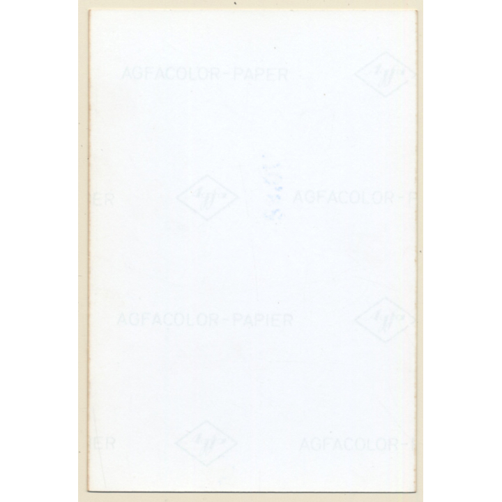 Darkhaired Semi Nude In Ruffle Blouse*1 / Nylons - Suspenders (Vintage Photo ~1980s)