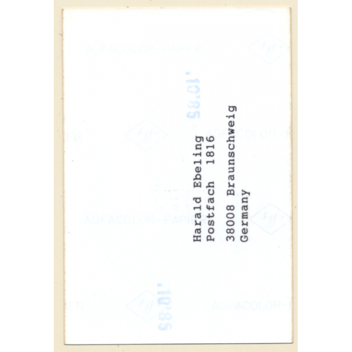 Darkhaired Semi Nude In Ruffle Blouse*2 / Nylons - Suspenders (Vintage Photo ~1980s)