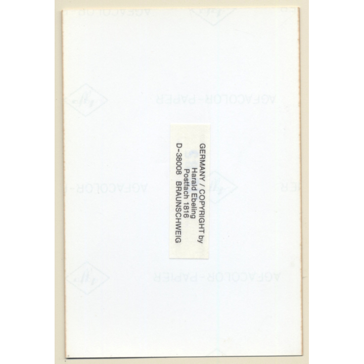 Semi Nude Woman Flashing Boobs & Panties (Vintage Photo ~1980s)