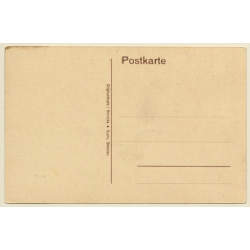 Vilseck / Germany: Partie Mit Dem Schloss (Vintage PC ~1910s/1920s)
