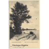 Langenargen / Germany: Partie Am See Mit Schloss Montfort (Vintage PC ~1910s/1920s)