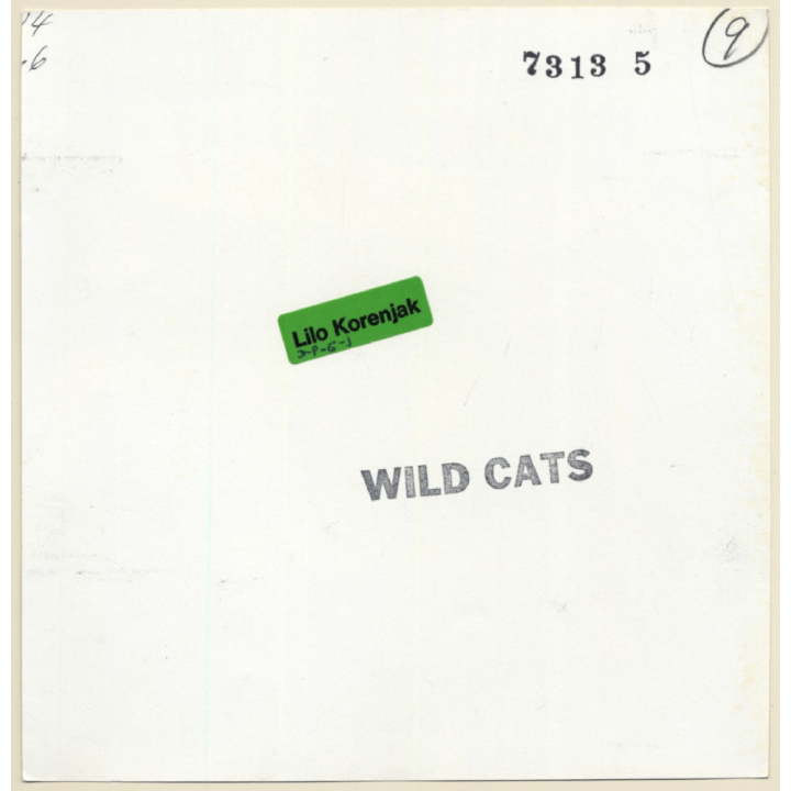 Erotic Study: Brunette Nude Kisses Girlfriends' Belly / Suspenders - Lesbian INT (Vintage Photo KORENJAK 1970s/1980s)