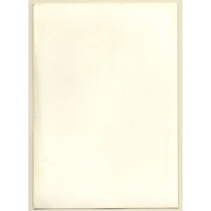 Busty Slim Semi Nude With Suspenders*2 / Boobs (Vintage Photo GDR ~1980s)