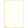 Slim Semi Nude Female In White Panties / Small Boobs (Vintage Photo GDR ~1980s)