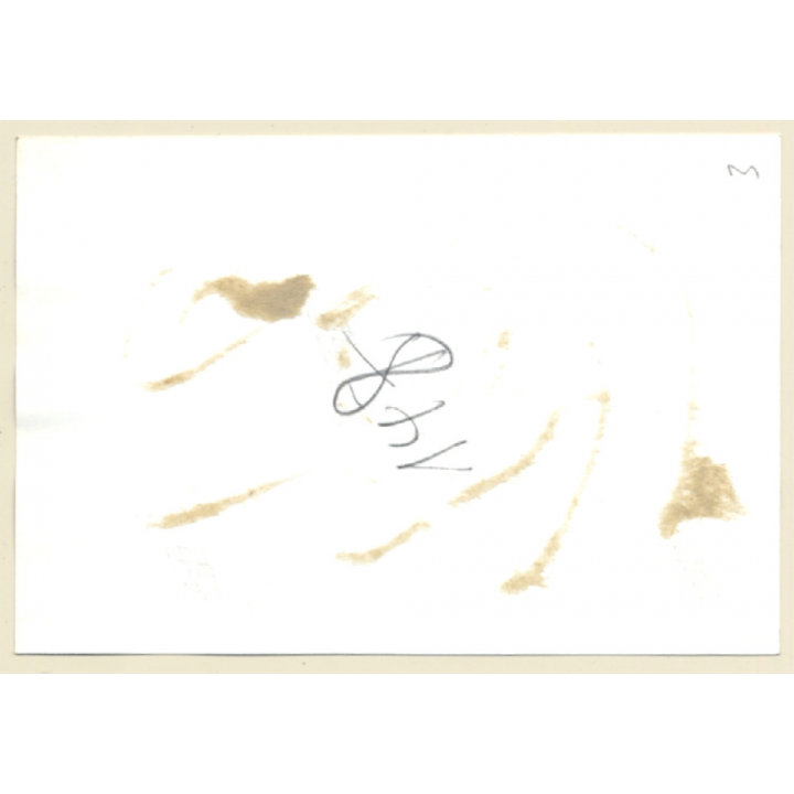 Darkhaired Mistress Caresses Maid In Pillory / BDSM (2nd Gen.Photo ~1960s)