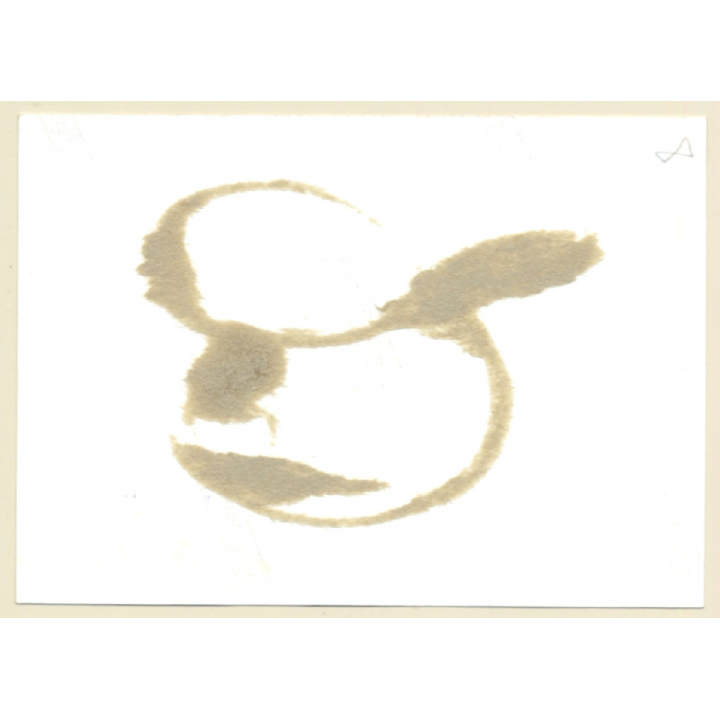 Semi Nude Maid In Chain Bondage On Floor / Bodice - BDSM (2nd Gen.Photo ~1960s)