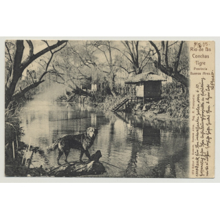 Tigre - Buenos Aires / Argentina: Rio De Las Conchas (Vintage Postcard: 1905)