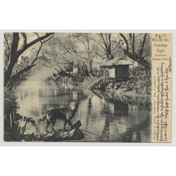 Tigre - Buenos Aires / Argentina: Rio De Las Conchas (Vintage Postcard: 1905)