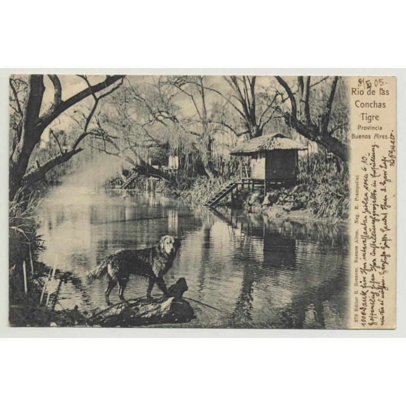 Tigre - Buenos Aires / Argentina: Rio De Las Conchas (Vintage Postcard: 1905)
