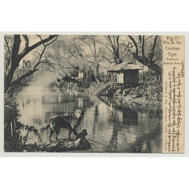 Tigre - Buenos Aires / Argentina: Rio De Las Conchas (Vintage Postcard: 1905)