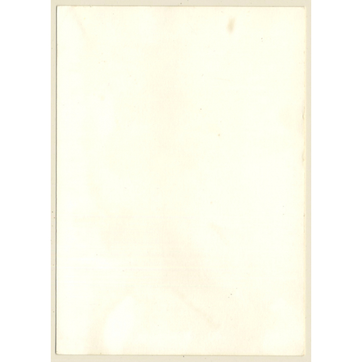 Cheeky Natural Nude Kneeling / Boobs (Vintage Photo GDR ~1980s)