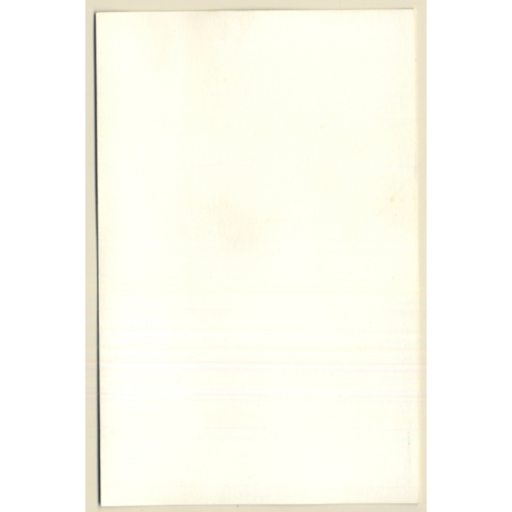 Rear View: Natural Nude On Oriental Carpet / Butt (Vintage Photo GDR ~1980s)