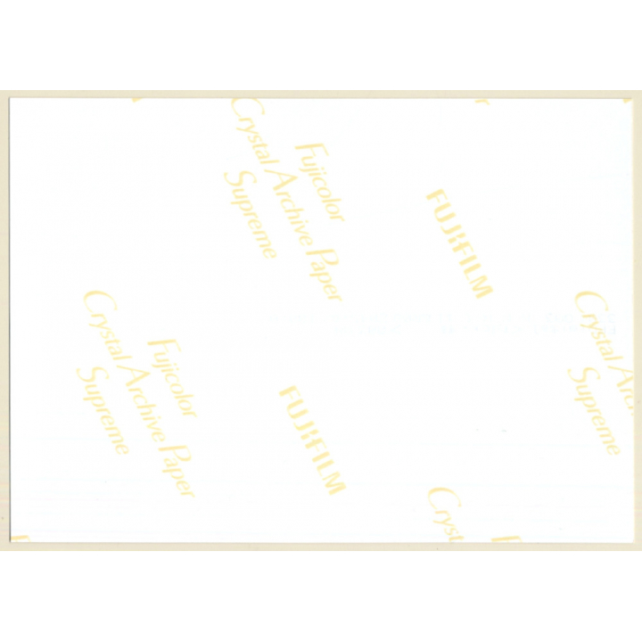 Erotic Study: Close-up Of Nude Female In Fishnets*2 (Digital Photo Print 2000s)