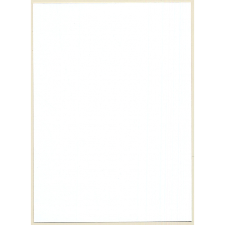 Erotic Study: Busty Nude In Jeans / Open Zip Fly (Digital Photo Print 2000s)