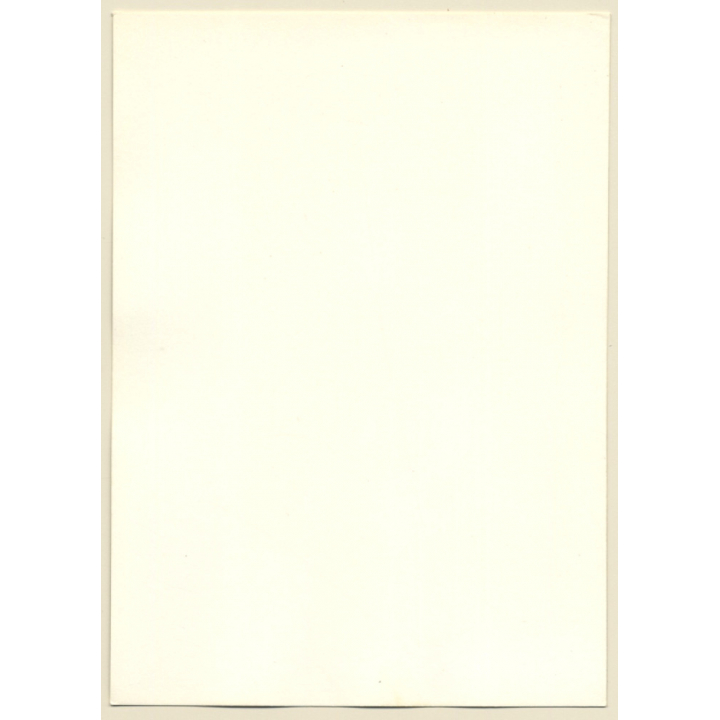 Erotic Study: Natural Busty Shorthaired Nude Standing*3 (Vintage Photo GDR ~1980s)