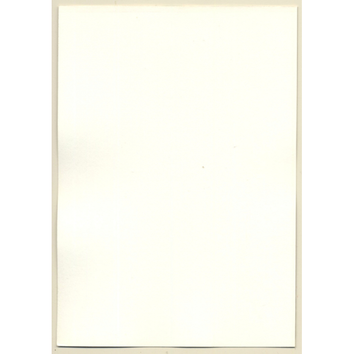 Erotic Study: Natural Busty Shorthaired Nude Standing*4 (Vintage Photo GDR ~1980s)