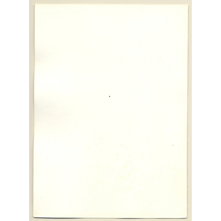 Erotic Study: Natural Busty Shorthaired Nude Standing*5 (Vintage Photo GDR ~1980s)