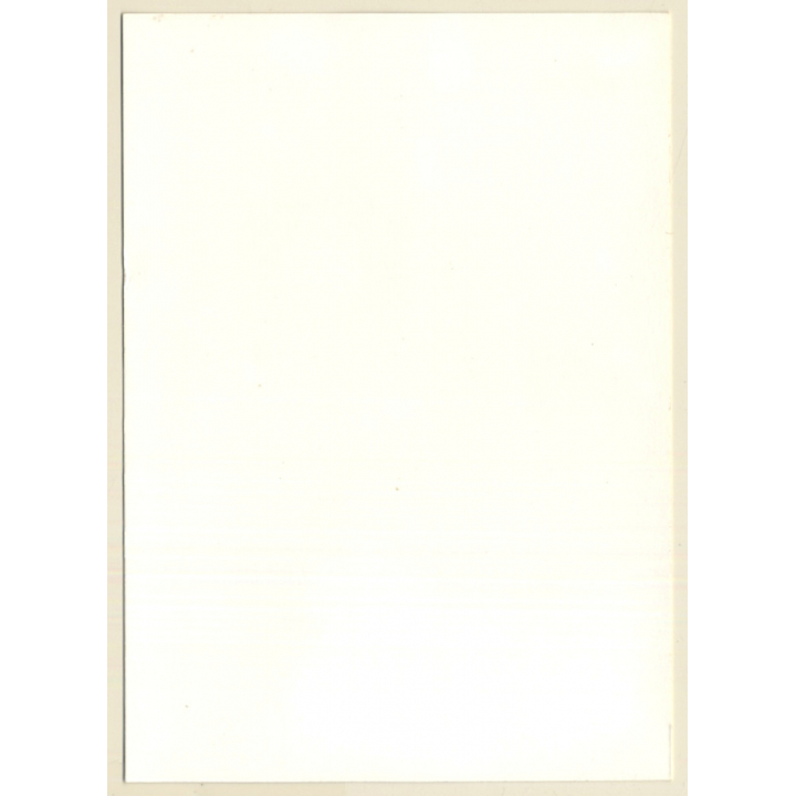 Erotic Study: Racy Longhaired Nude Kneeling (Vintage Photo GDR ~1980s)