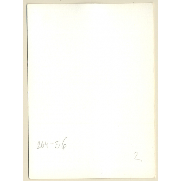 Erotic Study: Natural Semi Nude In Knotted Blouse (Vintage Photo GDR ~1980s)