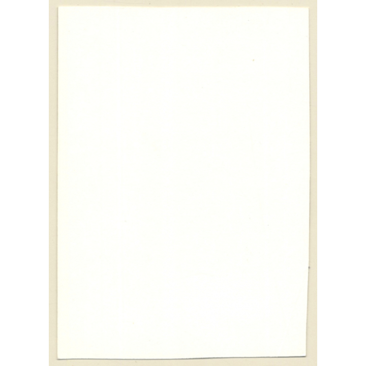 Erotic Study: Natural Nude Beauty In Forest (Vintage Photo GDR ~1980s)