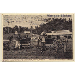 Cameroon: Westafrikanische Pflanzungs-Gesellschaft Viktoria / Kakaobohnen (Vintage PC 1924)