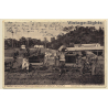 Cameroon: Westafrikanische Pflanzungs-Gesellschaft Viktoria / Kakaobohnen (Vintage PC 1924)