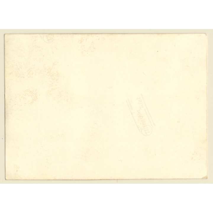 Nude Fifties Pin-Up's *2 (Vintage Dual Photo ~1950s)