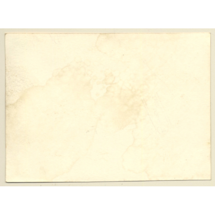 Nude Fifties Pin-Up's *10 (Vintage Dual Photo ~1950s)