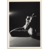 Gorden Thye: Artistic Nude Study *28 (Erotic PC Artcolor 2003)