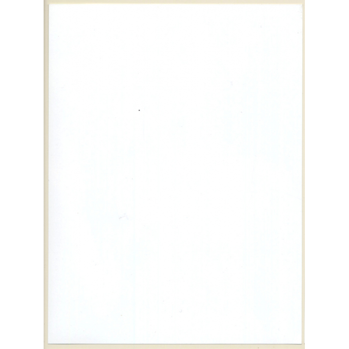 Erotic Study: Brunette Semi Nude With Flower / Transparent Top (Digital Photo Print 2000s)